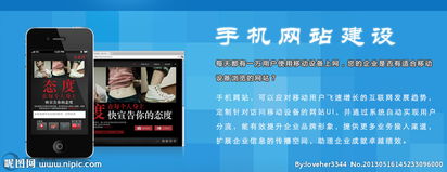 賦能未來 從企業(yè)網(wǎng)站到軟件創(chuàng)新的一站式解決方案