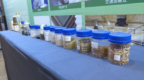 糖能科技攜手思創全球 共拓生物基新材料PEF市場新藍海